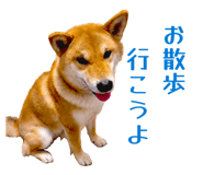 852604138