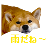 852604139