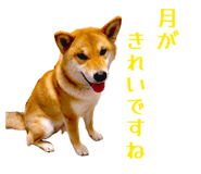 852604140
