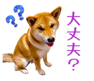 852604141