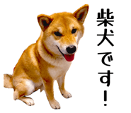 852604143