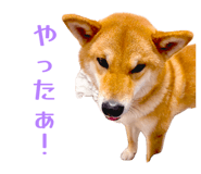 852604148