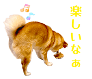 852604151