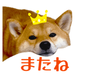 852604152