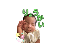 852604313