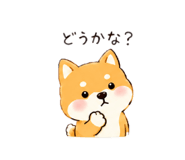 852604976