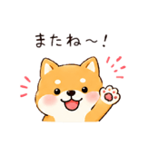 852604977