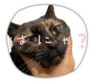 852605468