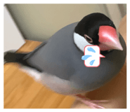 852605949