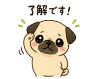852606197