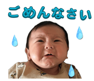 852606228
