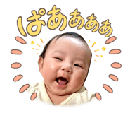 852606246