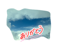 852606302
