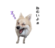 852606332