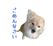 852606343