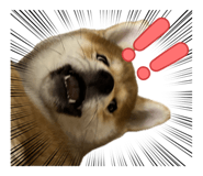 852611929