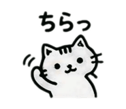 852616223