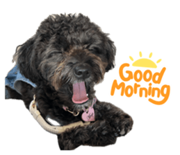852616241