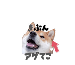 852619846