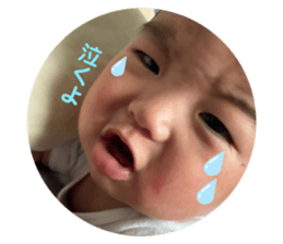 852619878