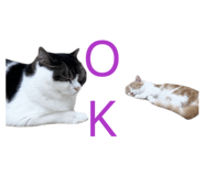 852620169
