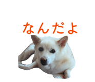 852620170