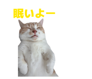 852620171