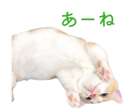 852620172