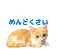 852620175