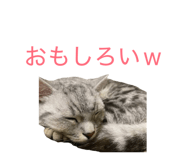 852620176