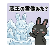 852620516