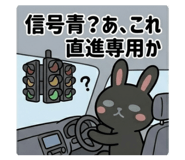 852620519