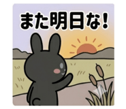 852620521