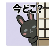 852620526