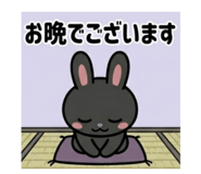 852620529