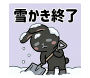 852620532