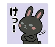 852620537