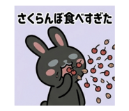 852620541