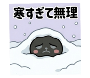 852620543