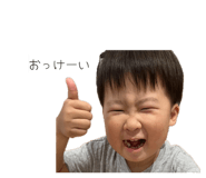 852620873
