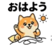 852621087