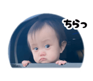 852621524