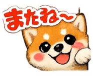 852622249