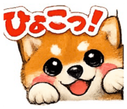 852622250