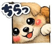 852622251