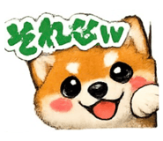 852622254