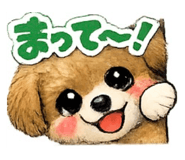 852622256