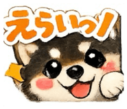 852622257