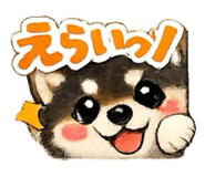 852622260