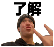 852622381